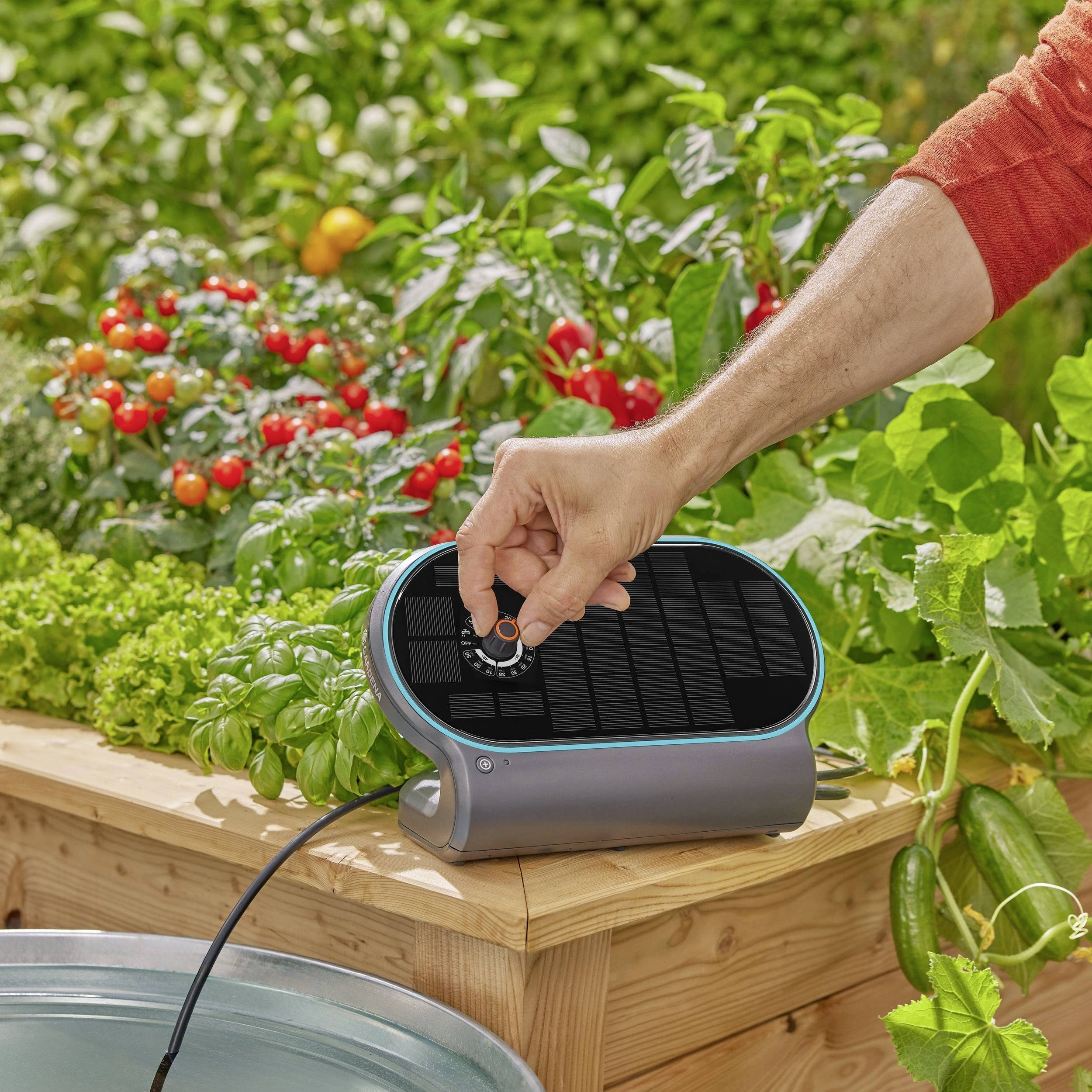 Eine Person stellt an einem Solargerät in einem Gemüsegarten die Einstellungen ein. Im Hintergrund sind Tomaten und Basilikum zu sehen.