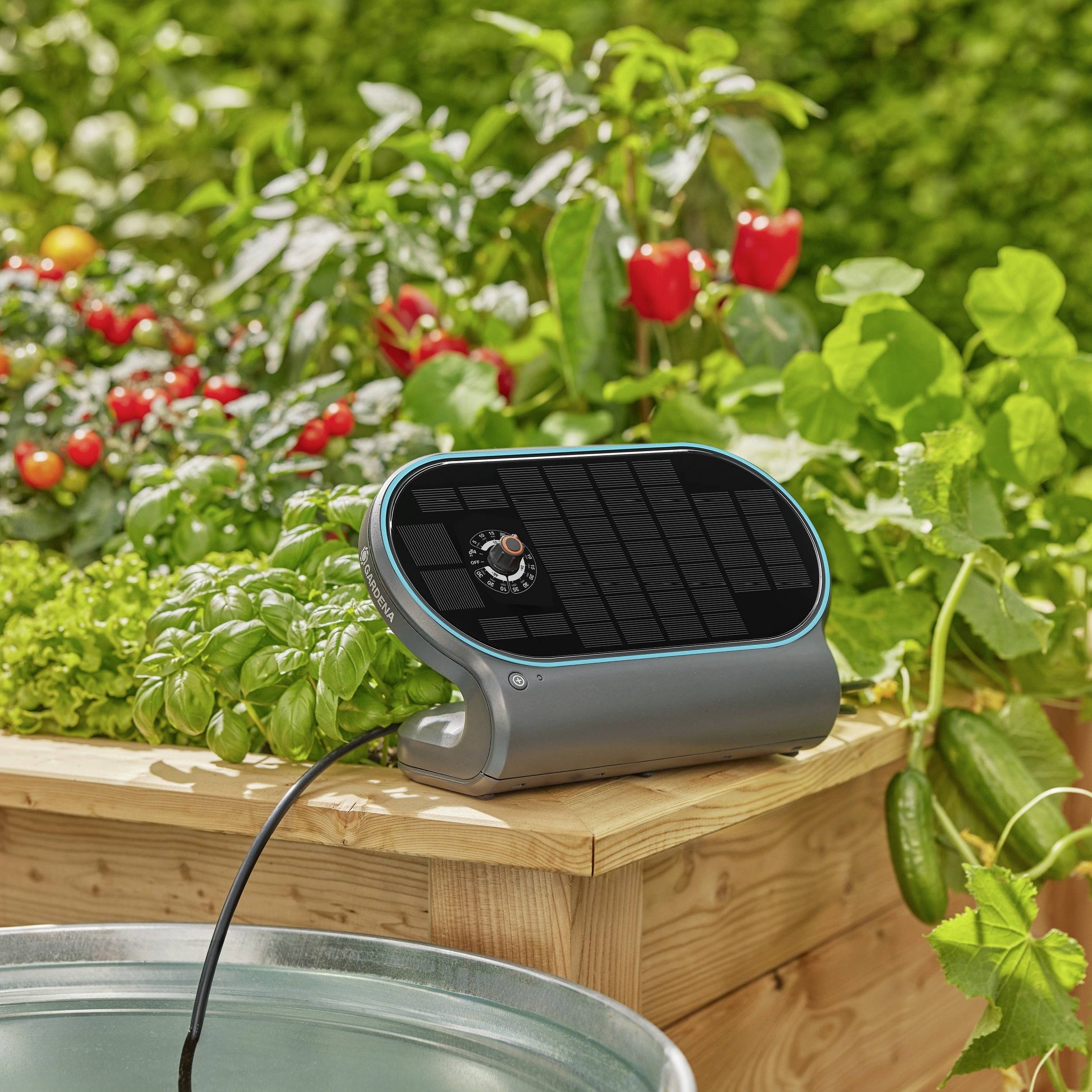 Ein Solarregler mit Drehknopf steht auf einem hölzernen Pflanzkasten im Garten. Umgeben von grünem Gemüse und roten Paprikas.