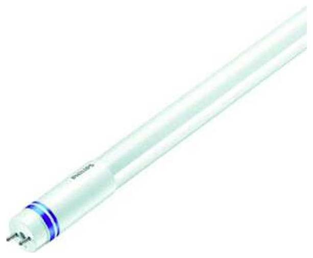 Weiße LED-Röhre mit blauen Streifen an einem Ende, geeignet für Beleuchtung in Haushalten und Büros.