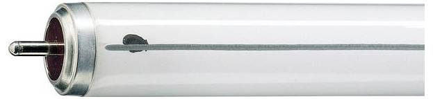 Eine weiße Leuchtstoffröhre, horizontal angeordnet, mit metallenen Enden auf beiden Seiten.