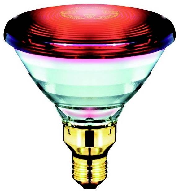 Signify Infrarotlampe E27 150W (Ø x L) 121mm x 136mm 130V 1St.