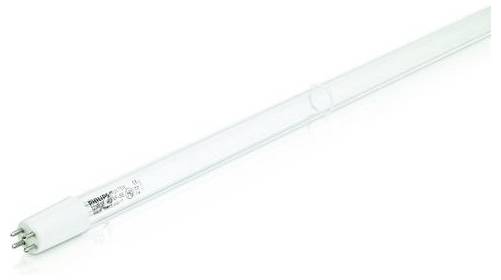 Eine transparente UV-Lampe mit vier Stiften am weißen Sockel, geeignet für Desinfektionszwecke.