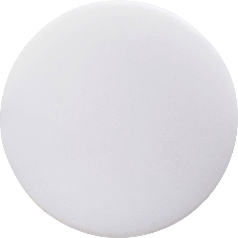 Ein weißer, flacher Kreis auf neutralem Hintergrund. Keine weiteren Details oder Muster sichtbar.