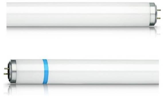 Zwei weiße Leuchtstoffröhren, eine mit blauem Ring, zeigen Unterschiede im Design.
