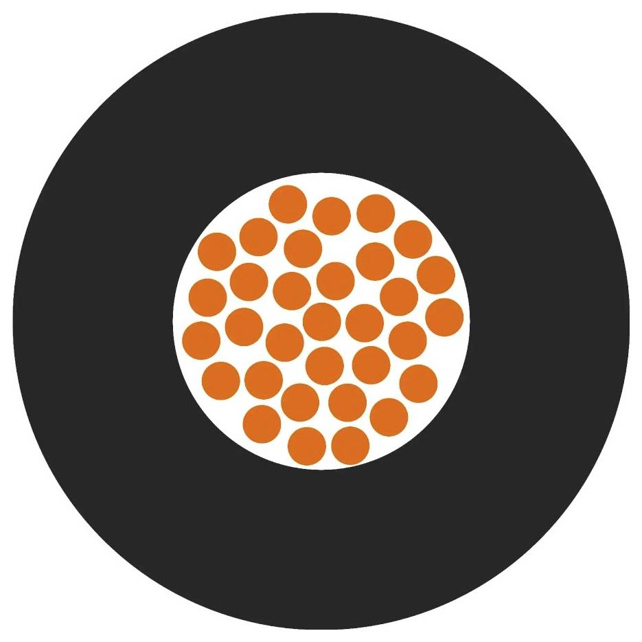 Ein schwarzer Kreis mit einem inneren weißen Kreis, der von vielen kleinen orangefarbenen Kreisen gefüllt ist.