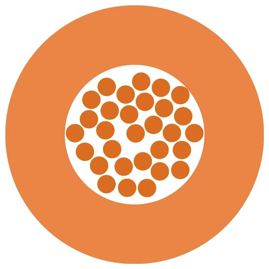 Orange Kreis mit kleineren orangefarbenen Kreisen in der Mitte auf weißem Hintergrund.