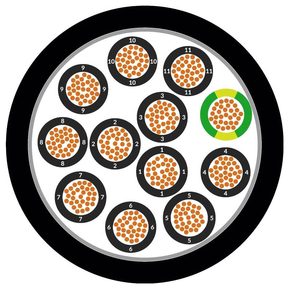 Kabelquerschnitt mit zwölf kreisförmigen Teilen in Schwarz und Orange. Einer ist grün hervorgehoben. Zahlen von 1 bis 12 markieren Teile.