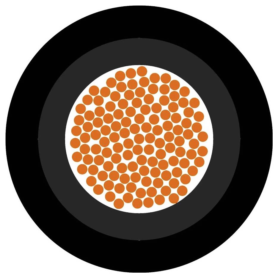 Ein schwarzer Kreis mit einem weißen Kreis in der Mitte, gefüllt mit vielen kleinen orangefarbenen Punkten.