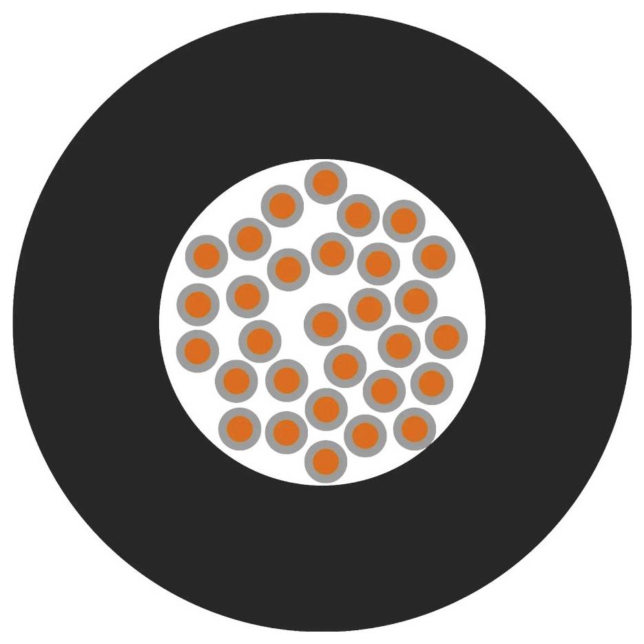 Kreisförmiges Diagramm mit schwarzem Rand und weißen Hintergrund zeigt orangene Punkte, die gleichmäßig in einem Kreis angeordnet sind.