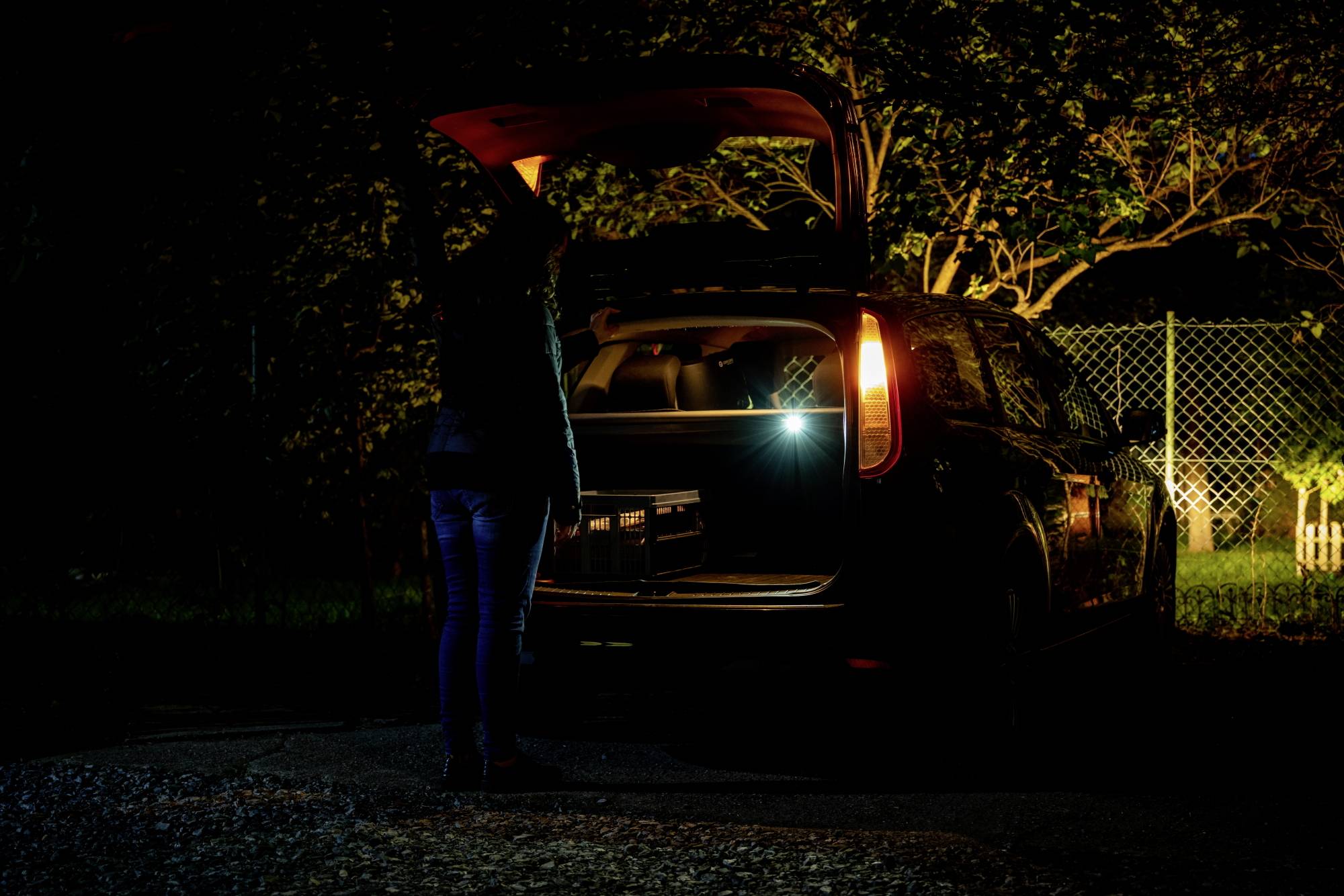 OLight 12894 Oclip Pro Mobile Kleinleuchte LED Schwarz