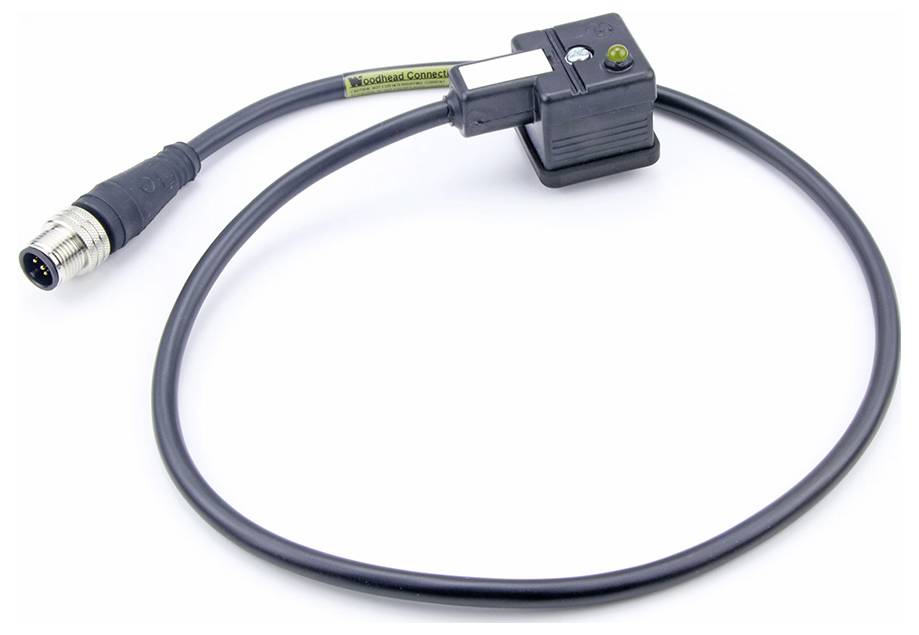 Ein elektrisches Kabel mit einem Stecker auf der linken Seite und einem kleinen, rechteckigen Schaltkasten in der Mitte.