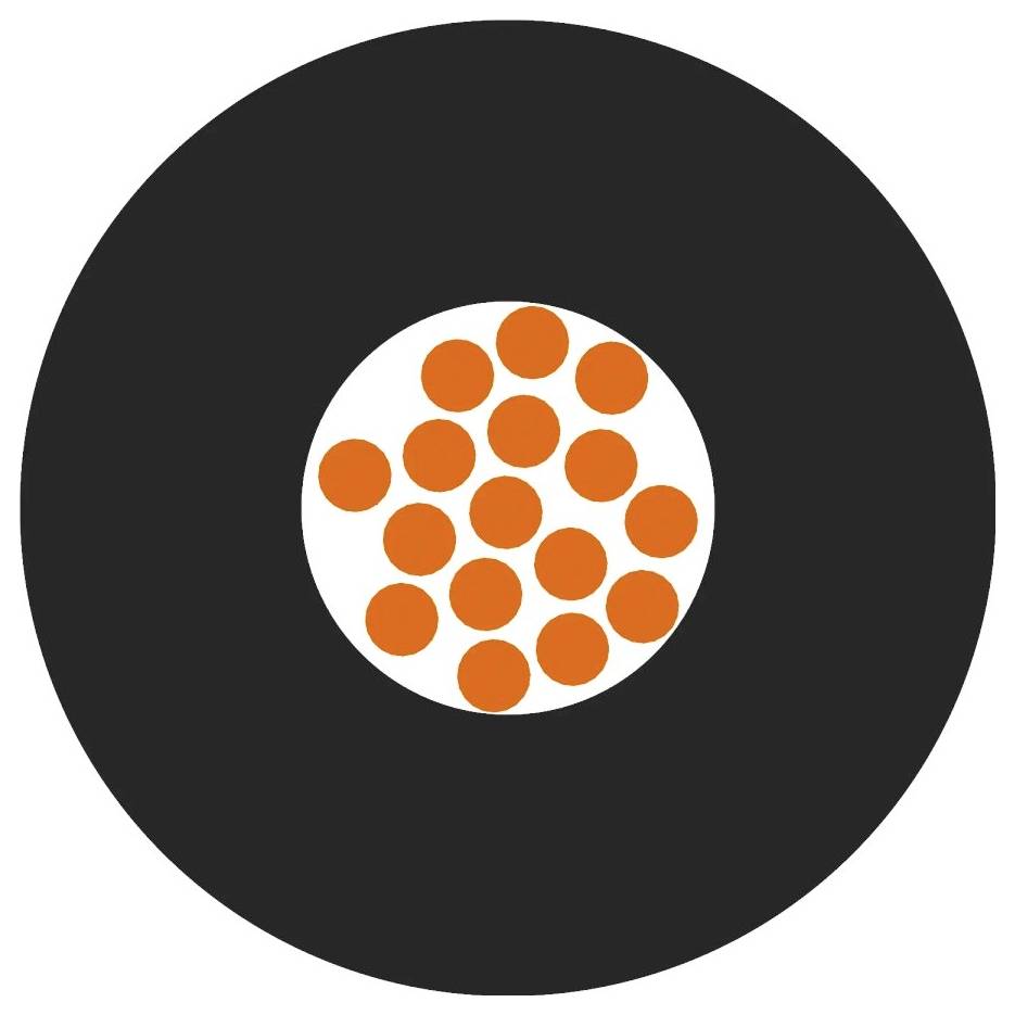 Schwarzer Kreis mit weißem Mittelpunkt, gefüllt mit 16 orangefarbenen Punkten.