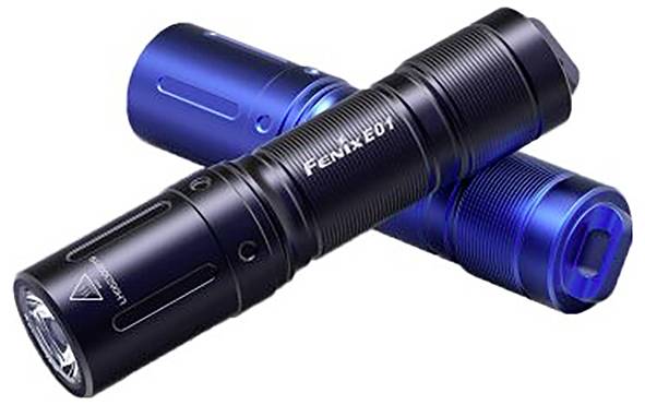 Fenix Light E01 V2.0 FEE01V2-Schwarz LED Taschenlampe batteriebetrieben 100lm 13g