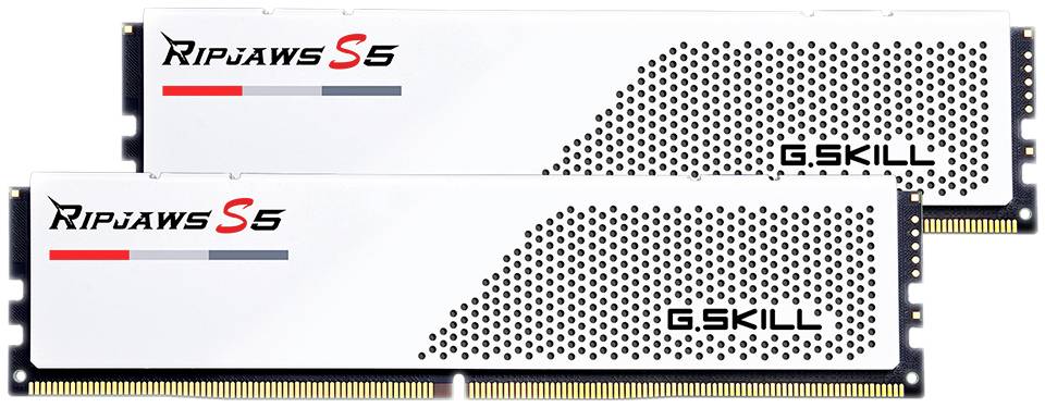 G.Skill F5-6000J3036F24GX2-RS5W PC-Arbeitsspeicher Modul DDR5 48GB 2 x 24GB 6000MHz CL30 F5-6000J3036F24GX2-RS5W