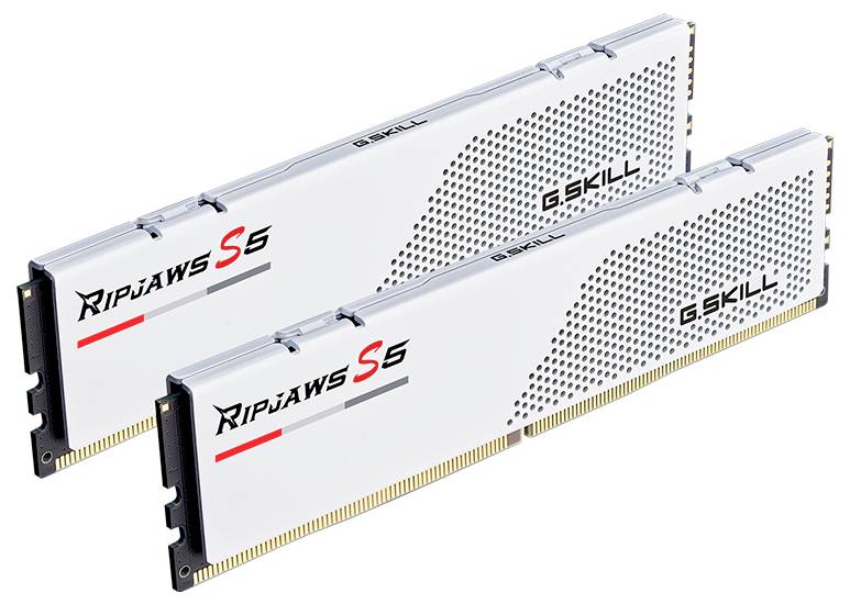 G.Skill F5-6000J3036F24GX2-RS5W PC-Arbeitsspeicher Modul DDR5 48GB 2 x 24GB 6000MHz CL30 F5-6000J3036F24GX2-RS5W