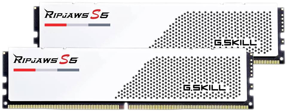 G.Skill F5-6000J2836G32GX2-RS5W PC-Arbeitsspeicher Modul DDR5 64GB 2 x 32GB 6000MHz F5-6000J2836G32GX2-RS5W