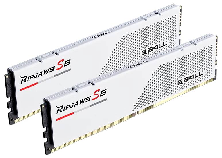 G.Skill F5-6000J2836G32GX2-RS5W PC-Arbeitsspeicher Modul DDR5 64GB 2 x 32GB 6000MHz F5-6000J2836G32GX2-RS5W