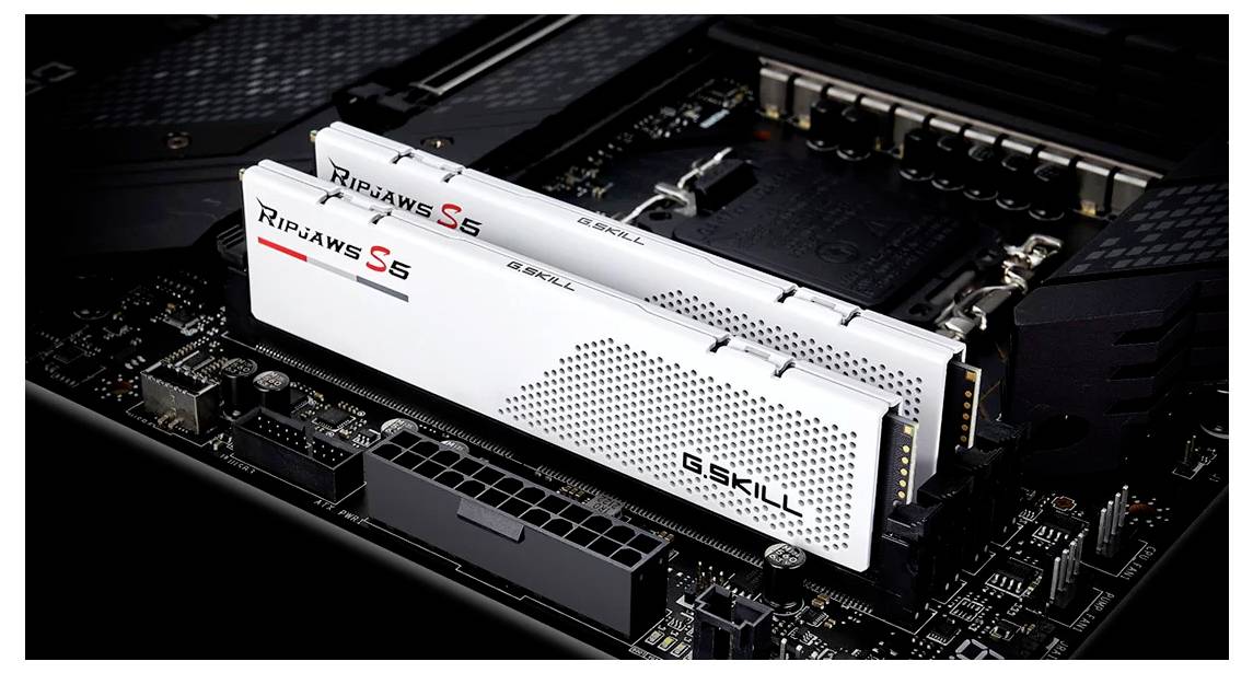 G.Skill F5-6000J2836G32GX2-RS5W PC-Arbeitsspeicher Modul DDR5 64GB 2 x 32GB 6000MHz F5-6000J2836G32GX2-RS5W