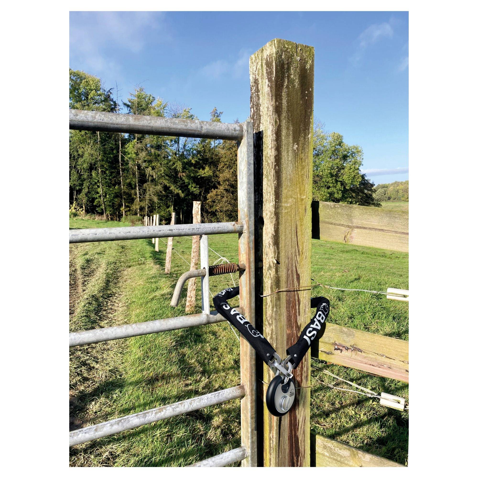 Basi ZR 318 Kette Schwarz Schlaufen für Vorhängeschloss