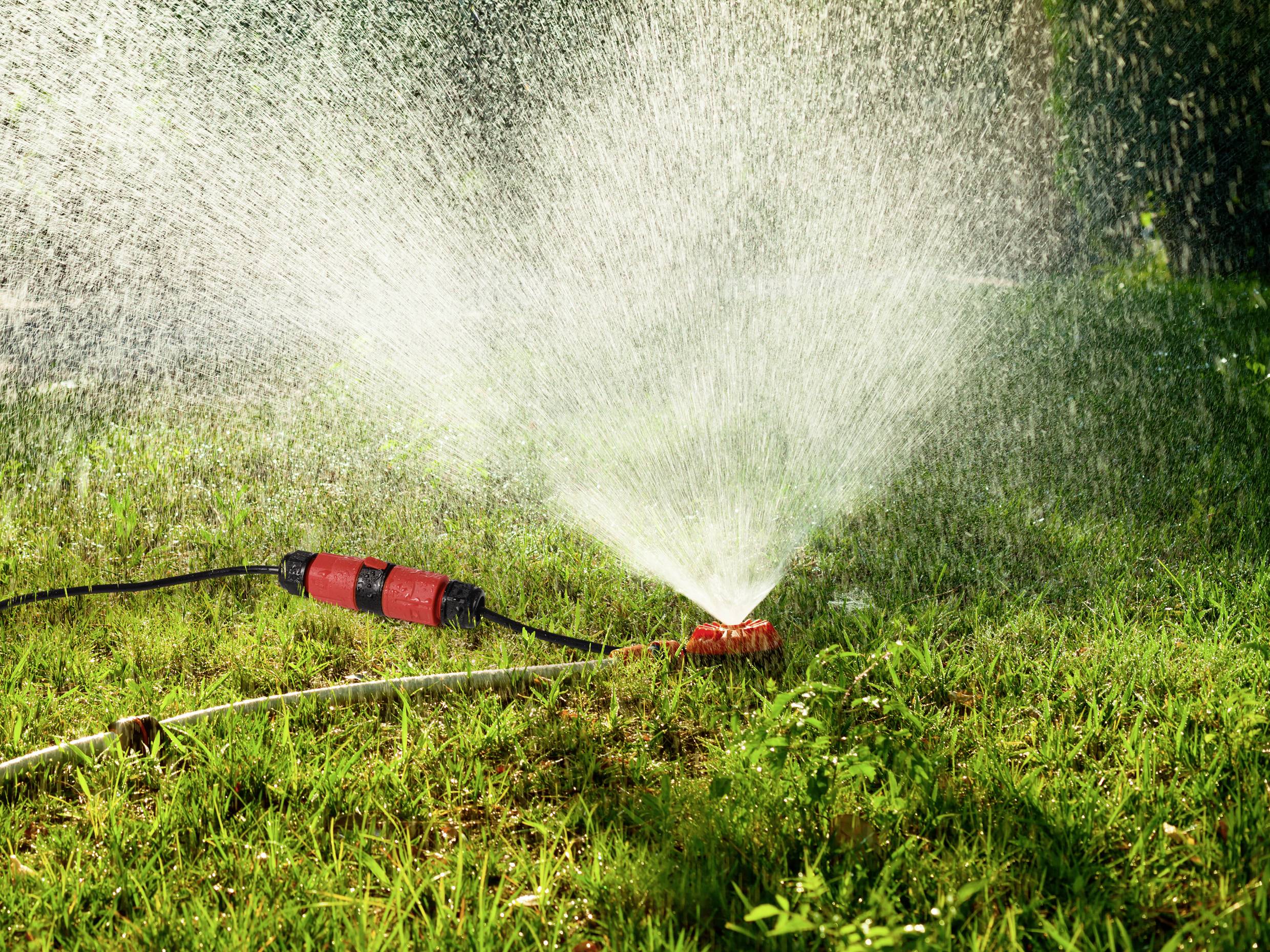 Roter Rasensprenger bewässert grünen Rasen an einem sonnigen Tag. Wassertropfen glitzern in der Sonne.
