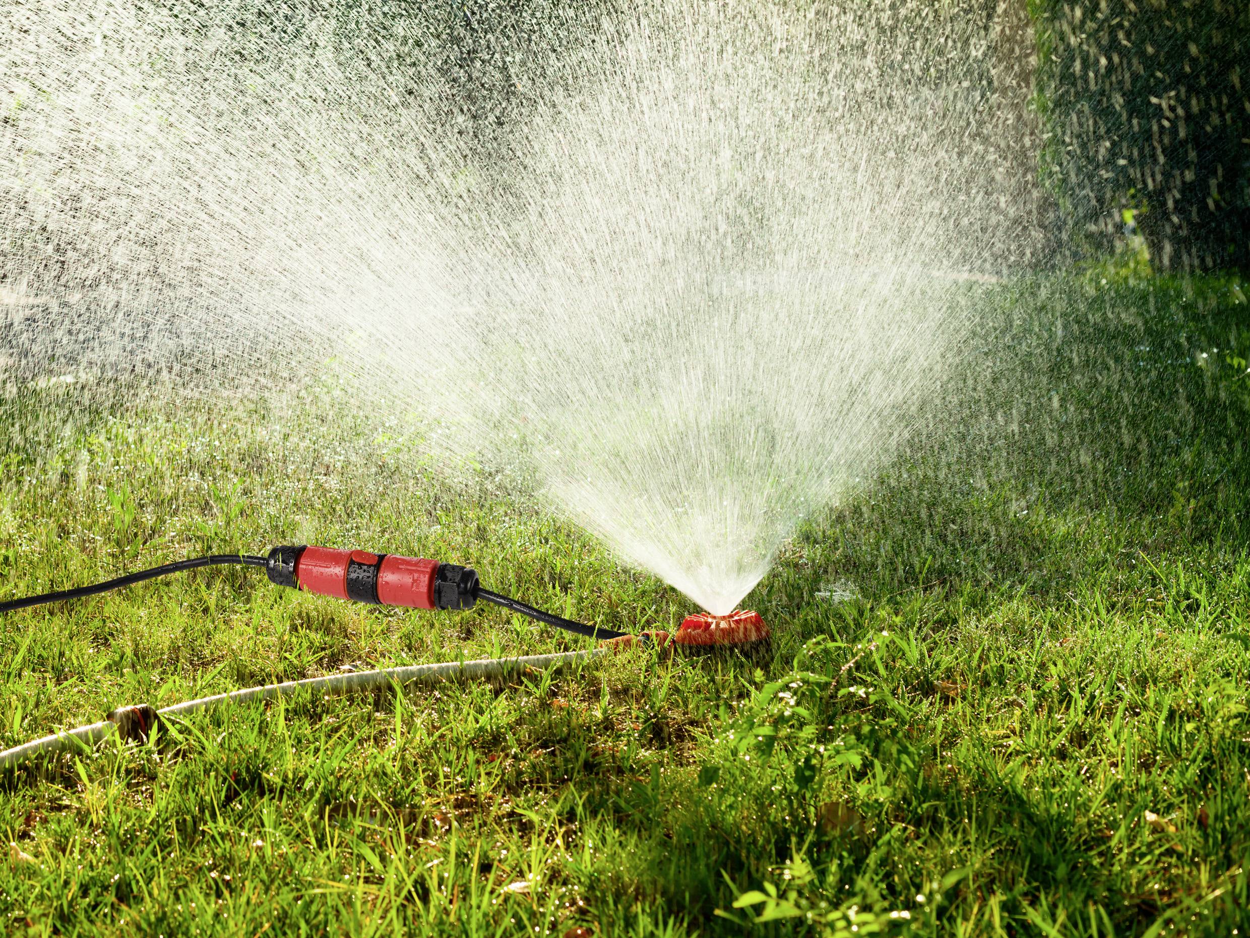 Ein Rasensprenger bewässert grüne Grasfläche an einem sonnigen Tag, verteilt Wasserstrahlen in einem weiten Bogen.