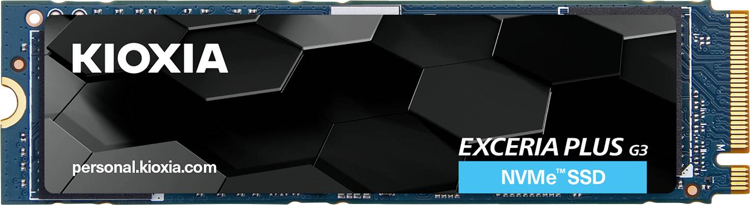 Kioxia 1 TB Interne SSD LSD10Z001TG8