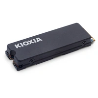 Kioxia 2TB Interne SSD LSC11K2T04G8 Kioxia 2TB Interne SSD LSC11K2T04G8