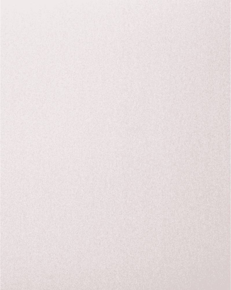 PFERD TOOLS BP ECO AC 230X280A 240 45015248 Schleifpapier Körnung (num) 240 (L x B) 280mm x 230mm 50St.