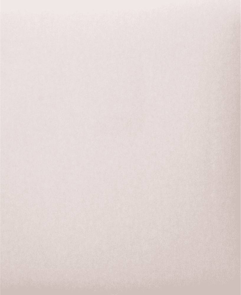 PFERD TOOLS BP ECO AC 230X280A 400 45015250 Schleifpapier Körnung (num) 400 (L x B) 280mm x 230mm 50St.