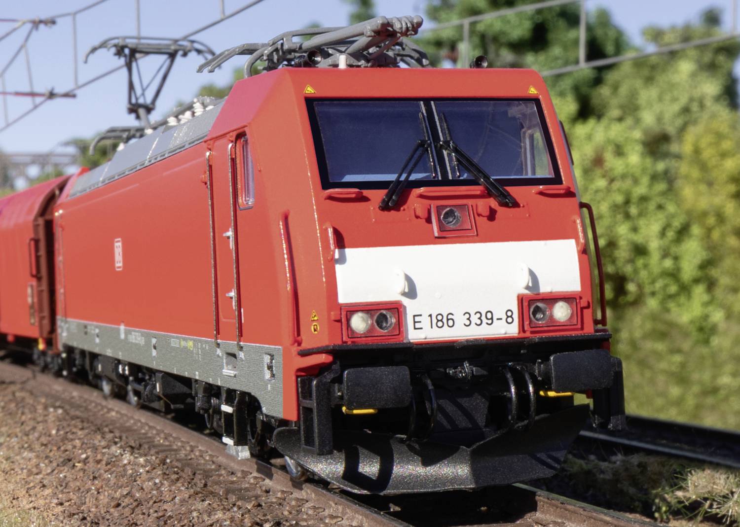 Roter Güterzug fährt entlang einer Bahnstrecke, umgeben von grüner Vegetation. Zugnummer 'E 186 339-8' ist sichtbar.