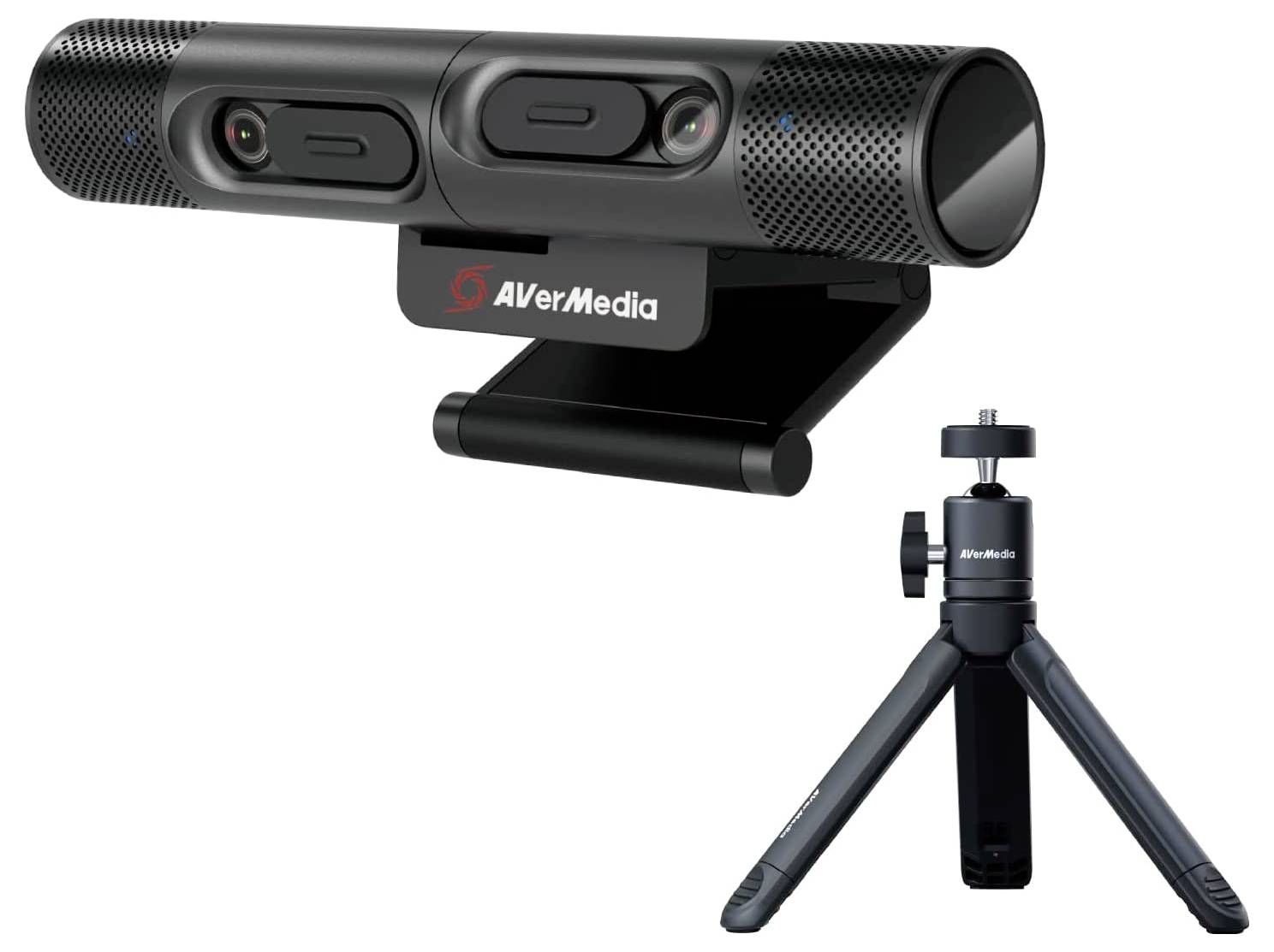 AverMedia 61PW313D00AE Full HD-Webcam