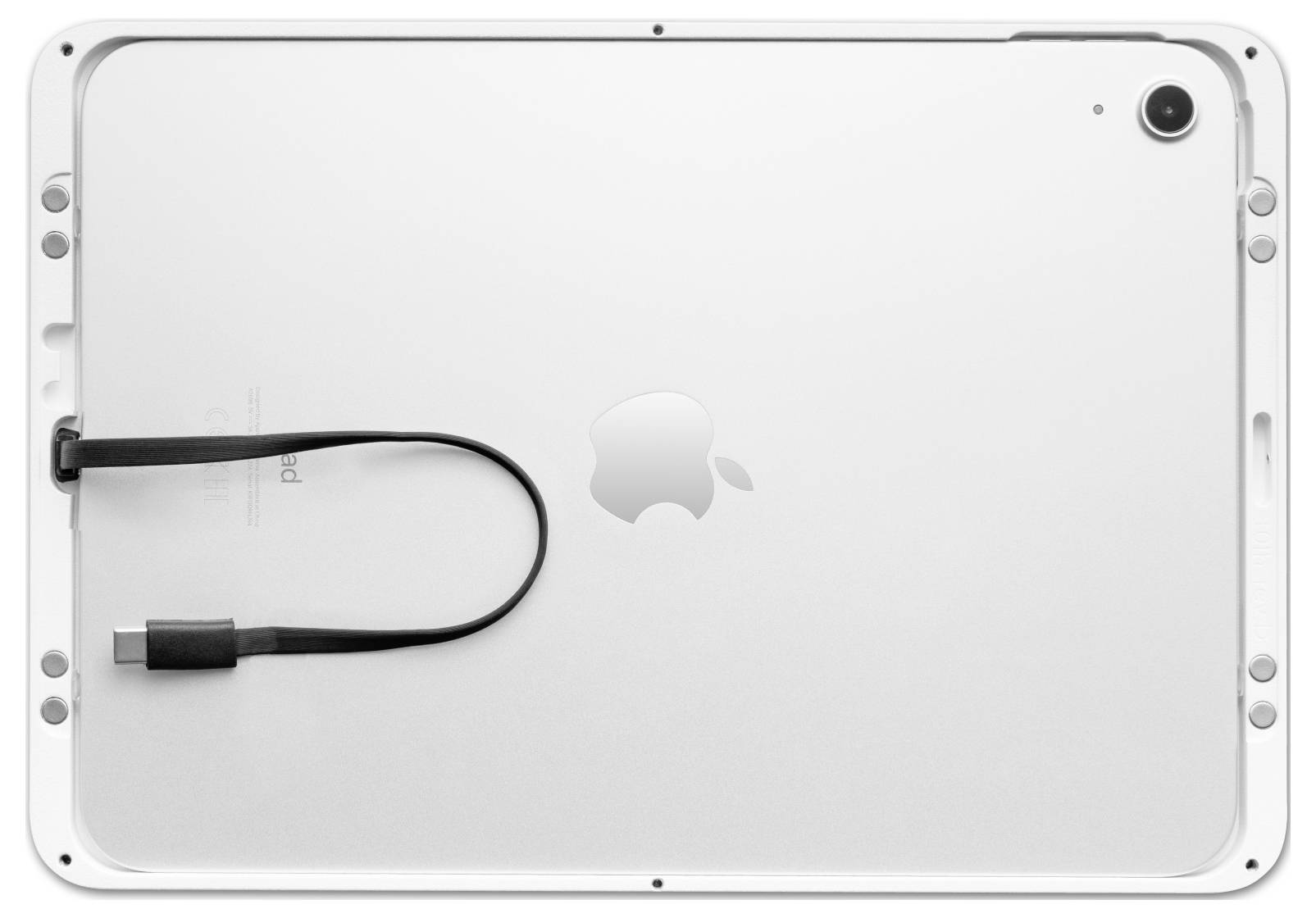 Displine Dame Wall 2.0 Tablet Wandhalterung Apple iPad Pro 11" (2024) 27,9cm (11")