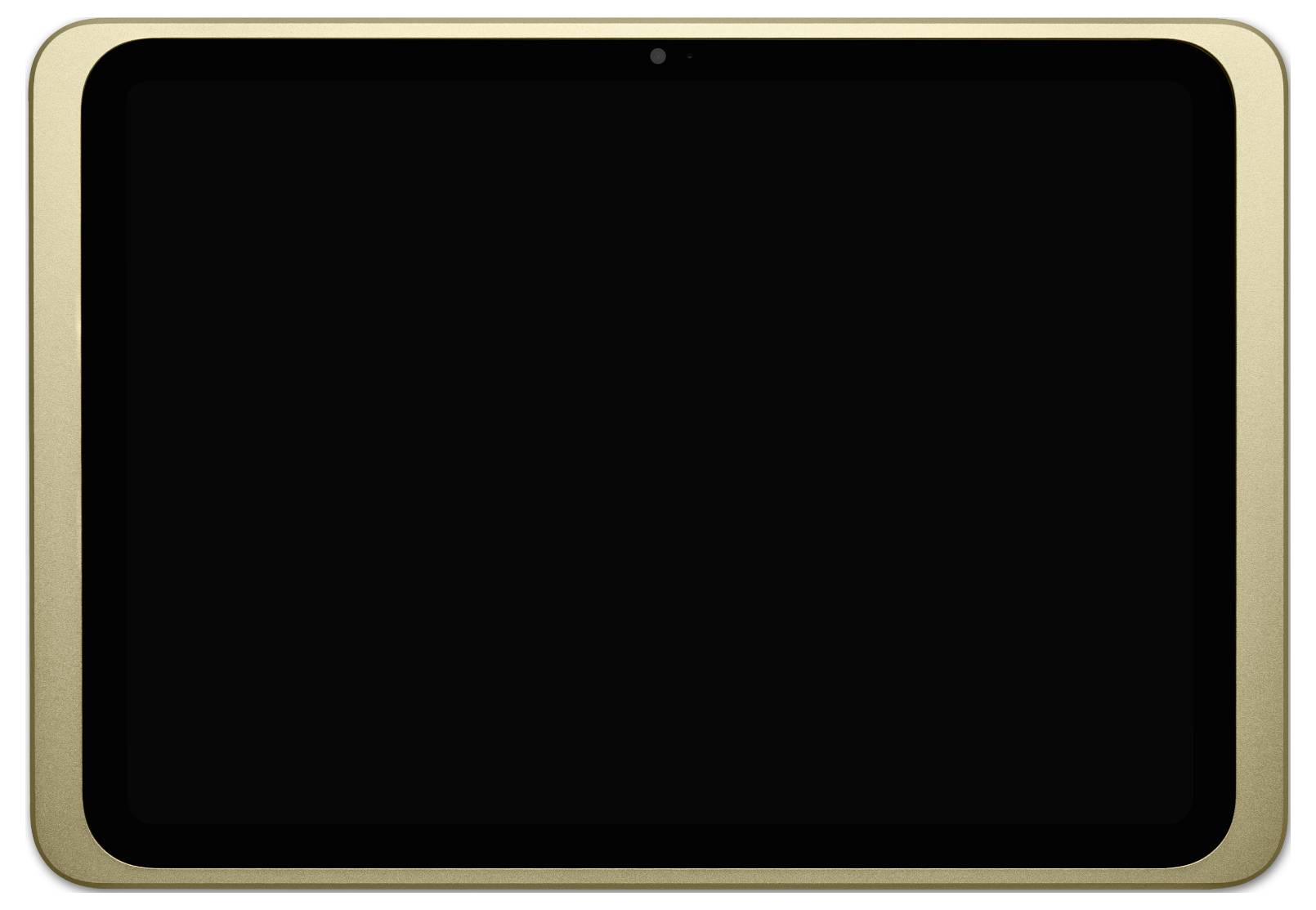 Displine Dame Wall 2.0 Tablet Wandhalterung Apple iPad Pro 11" (2024) 27,9cm (11")