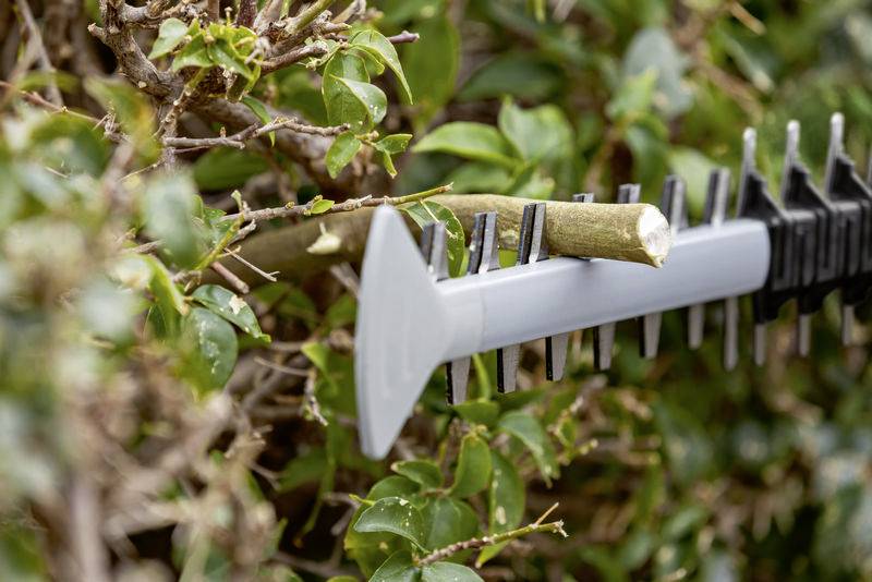 Bosch Professional GHE 18V-50 Heckenschere