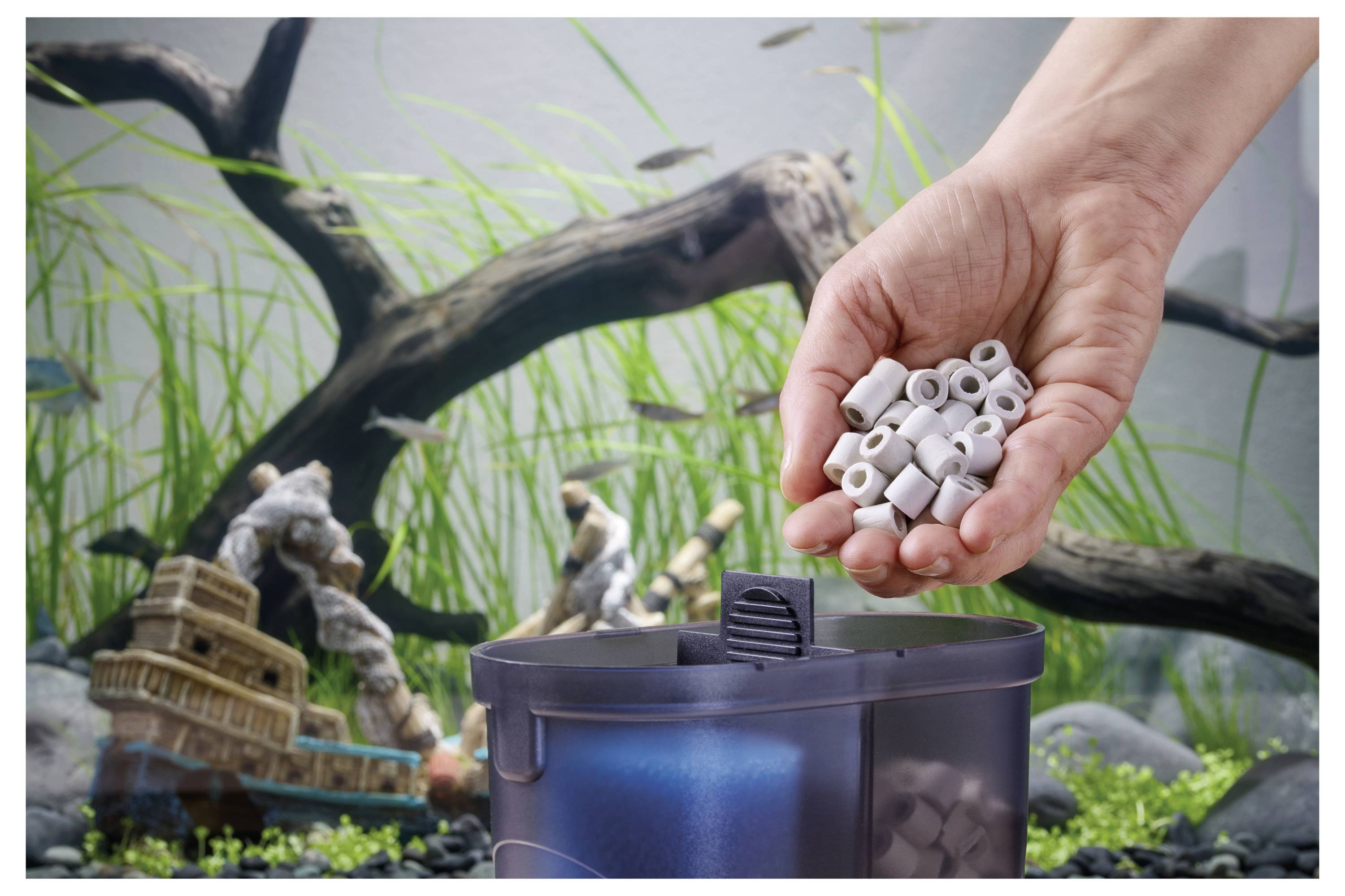 Hand, die Keramik-Filtermaterial in einen Aquariumfilter einlegt, mit Pflanzen und Dekorationen im Hintergrund.
