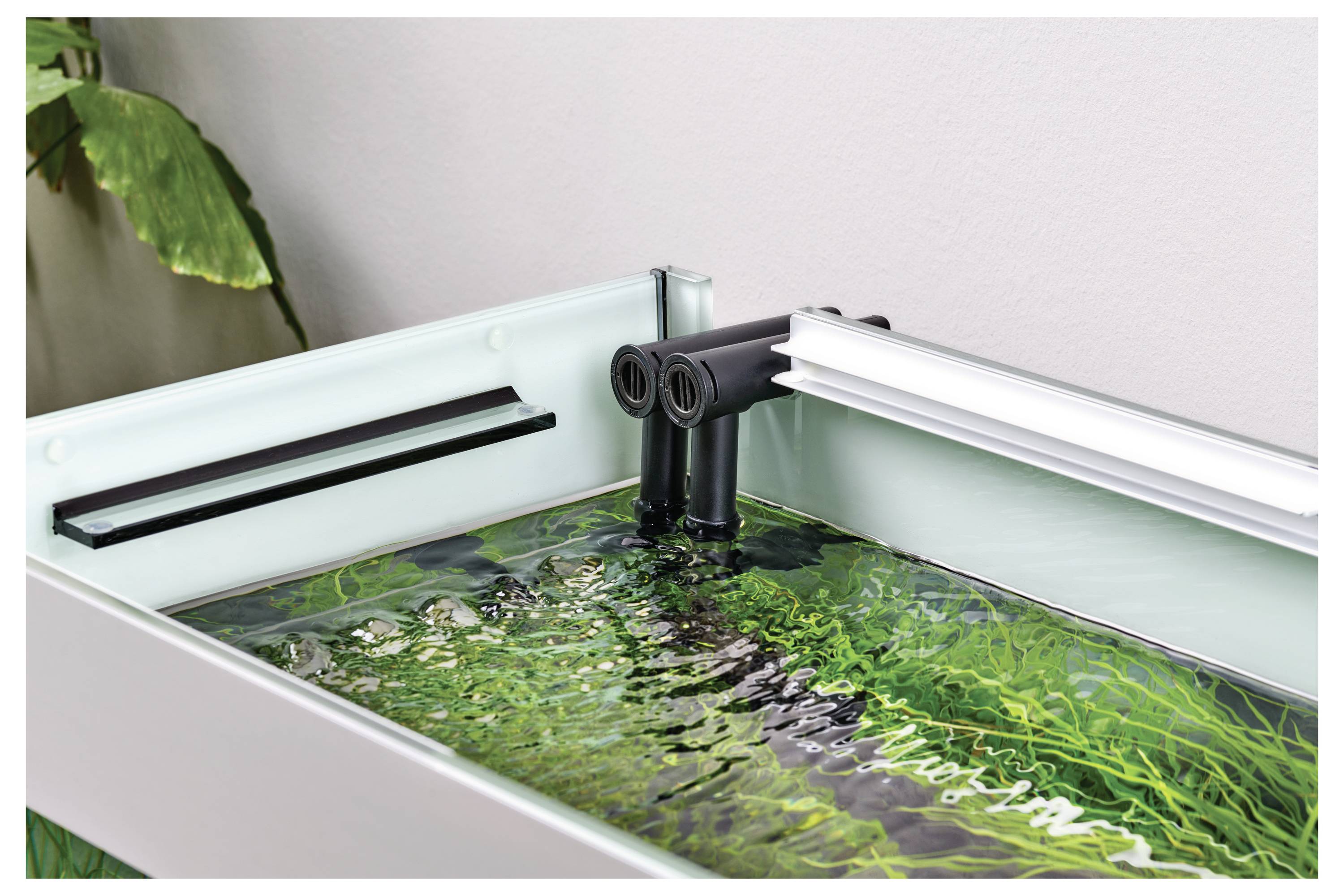 Aquariumfiltersystem in einem modernen Aquarium, das einen klaren Wasserfluss und grüne Wasserpflanzen zeigt. Daneben ist teilweise eine Pflanze zu sehen.
