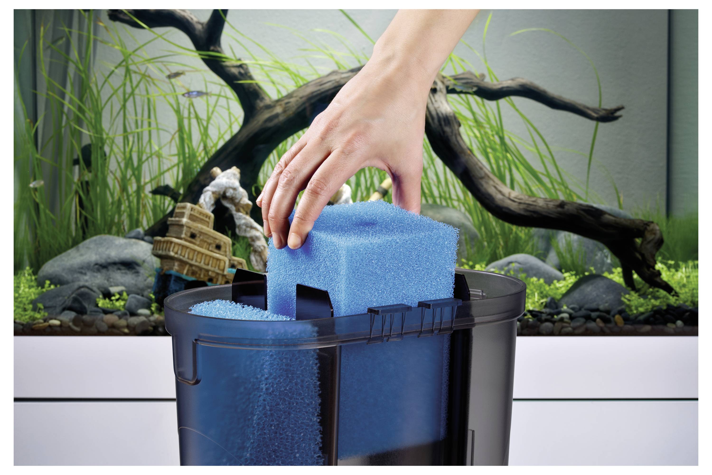 Eine Hand, die einen blauen Schwammfilter in ein Aquariumfiltersystem einlegt; Aquarium mit Grünpflanzen und Schiffswrack-Dekoration im Hintergrund.