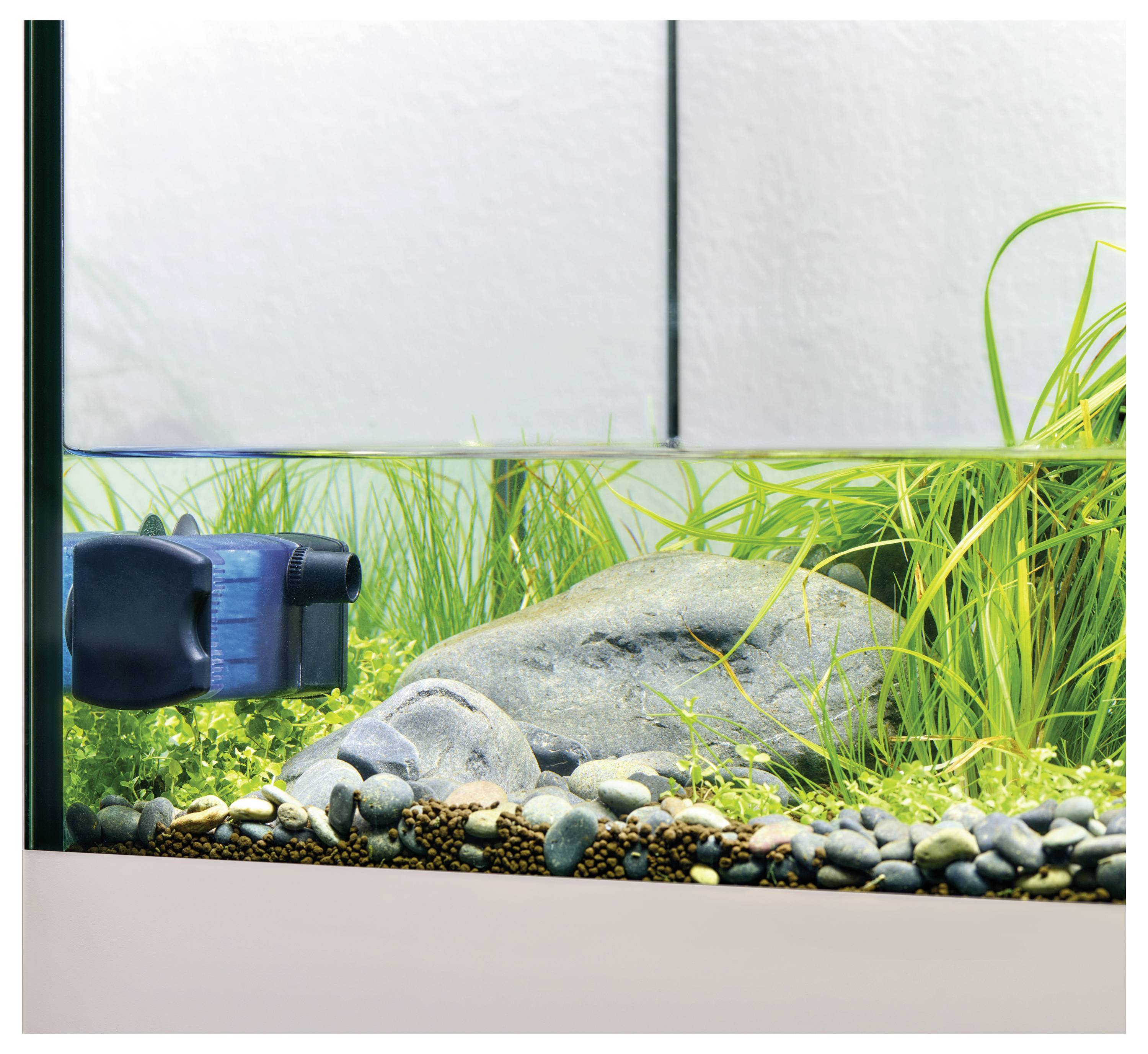 Ein Aquarium mit einem Filter, Pflanzen, Steinen und kleinen Kieseln am Boden, vor einem hellgefärbten Hintergrund.