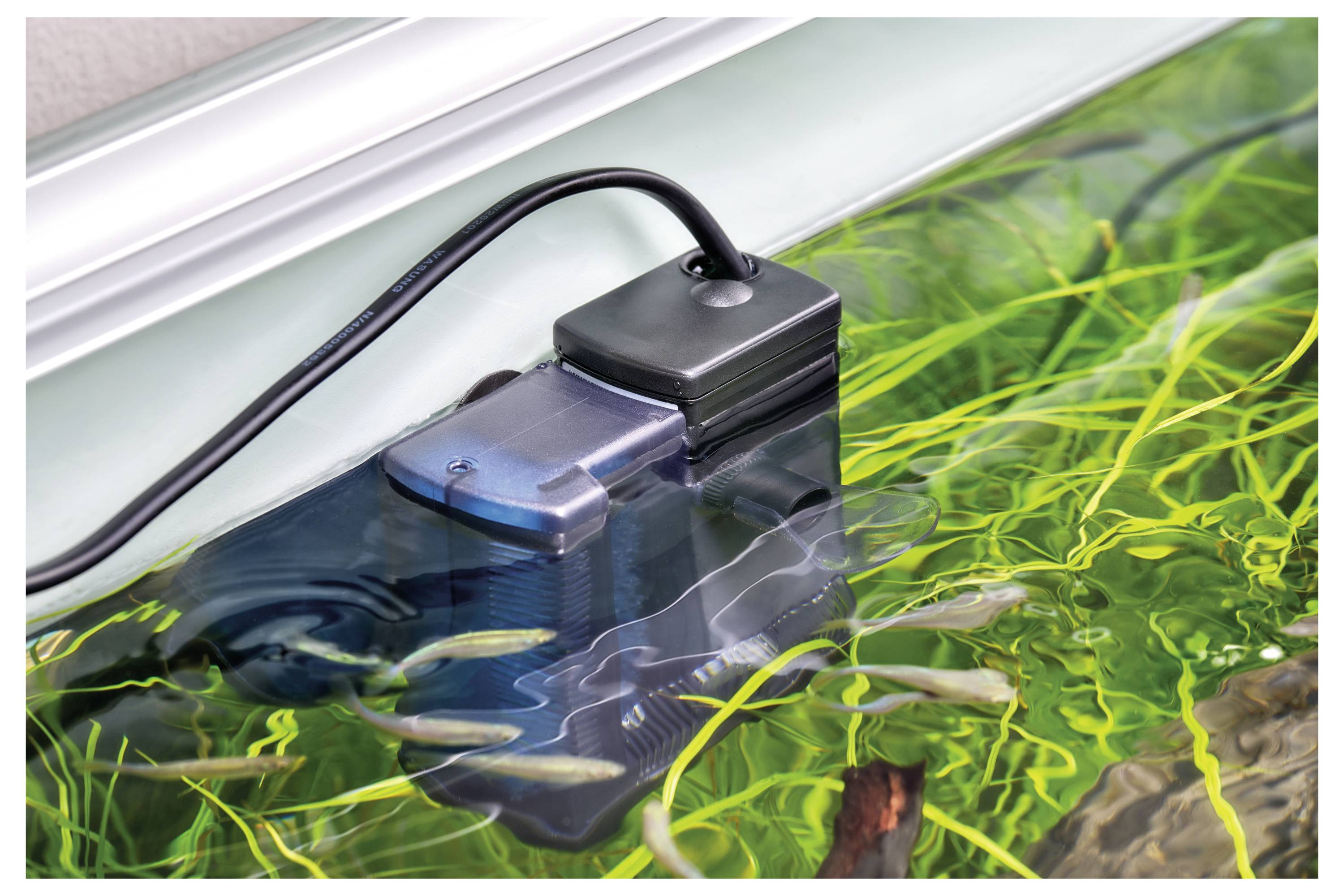 Ein Aquariumfilter, teilweise im Wasser versenkt, umgeben von kleinen Fischen und grünen Wasserpflanzen.