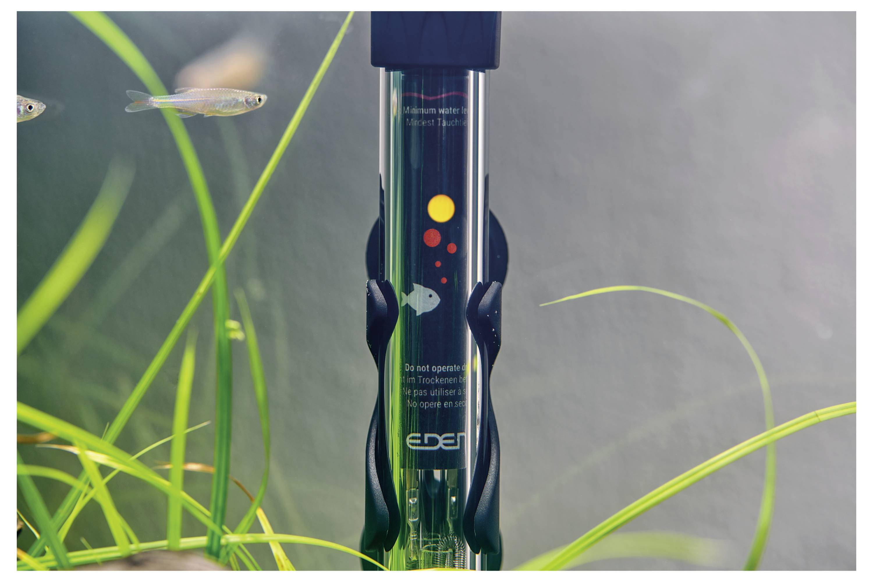 Aquariumheizung mit einem im Wasser eingetauchten Thermometer, umgeben von Wasserpflanzen und kleinen Fischen, die in der Nähe schwimmen.