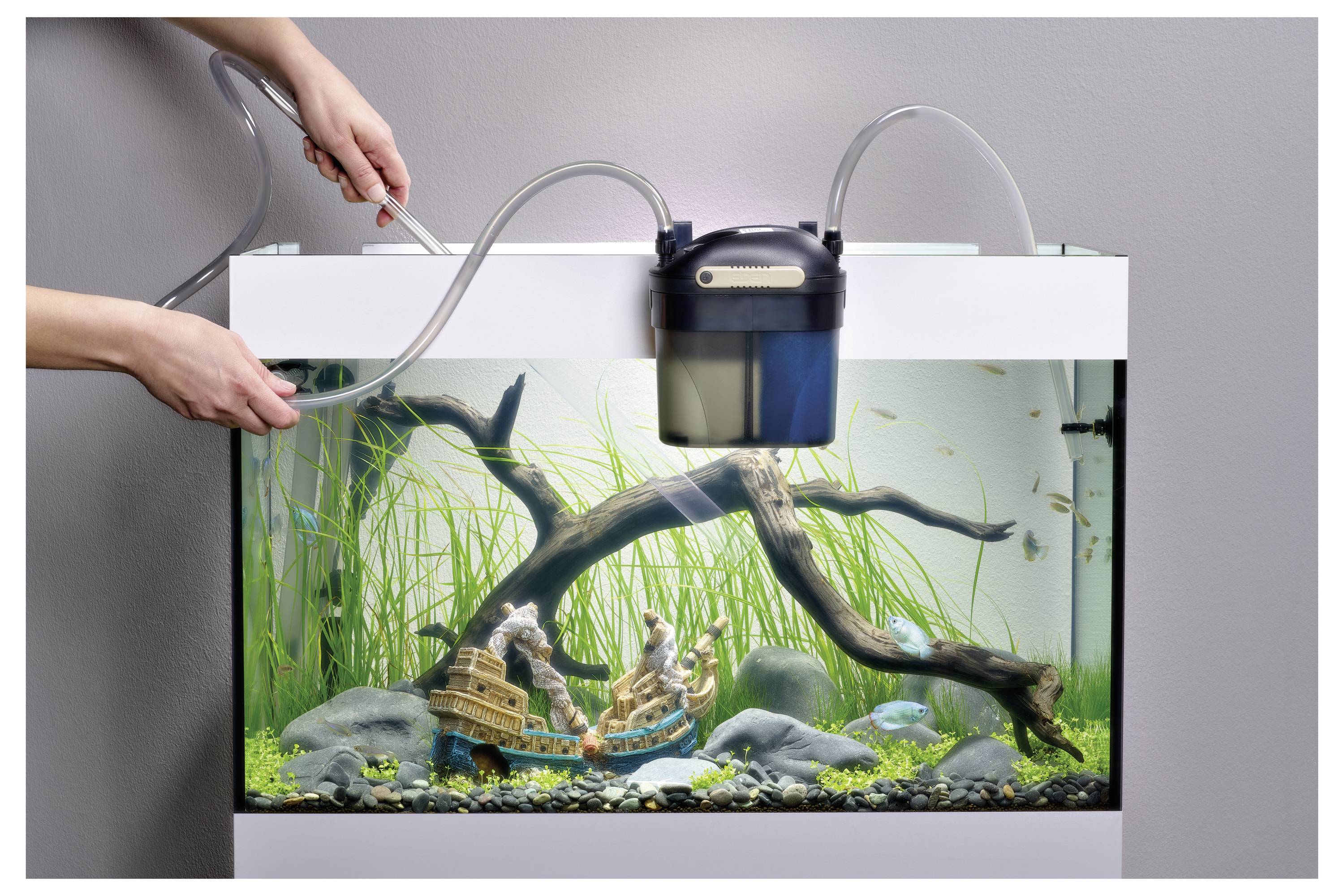 Eine Person reinigt ein Aquarium mit einem Siphon und entfernt Ablagerungen aus dem Kies. Der Tank enthält eine Holzstruktur und große grüne Pflanzen.