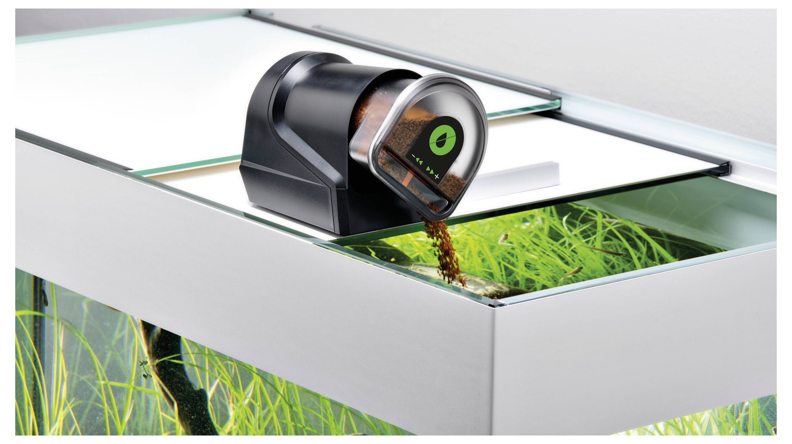 Ein automatischer Futterautomat, der Futter in ein Aquarium mit grünen Pflanzen hineingibt.