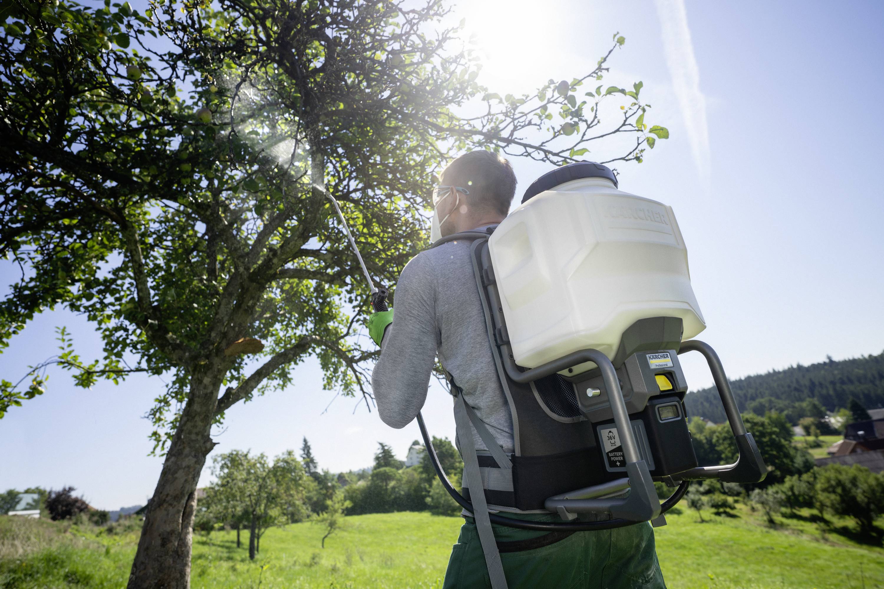 Ein Mann besprüht mit einem Rucksack-Sprüher einen Baum in einem Obstgarten. Es ist ein sonniger Tag mit klarem Himmel.