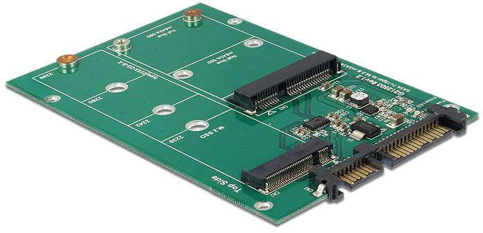 Delock 62670 Schnittstellen-Konverter [1x SATA - 1x M2, mSATA]