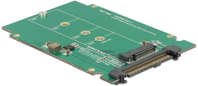 Delock 62710 Schnittstellen-Konverter [1x U.2 - 1x M2]