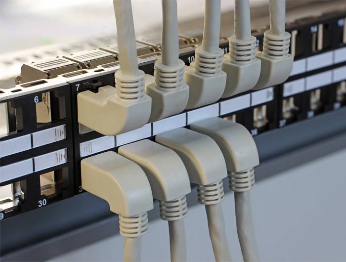 Netzwerkverkabelung: Mehrere Ethernet-Kabel sind in nummerierte Ports eines Patchfeldes eingesteckt, was eine organisierte Datenverbindung darstellt.