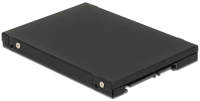 Delock 62866 Schnittstellen-Konverter [1x SATA - 1x M2, mSATA]