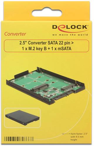 Delock 62866 Schnittstellen-Konverter [1x SATA - 1x M2, mSATA]
