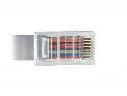 Ein Netzwerkstecker mit sichtbaren, farbigen Kabeln innen. Der Stecker ist transparent und zeigt die Anordnung der Kabeladern.