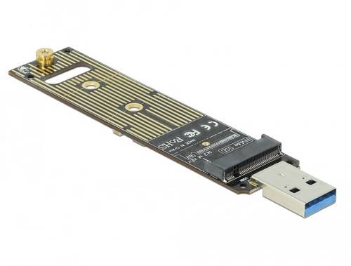 Delock 64069 Schnittstellen-Konverter [1x M2 - 1x USB 3.2 Gen 2]
